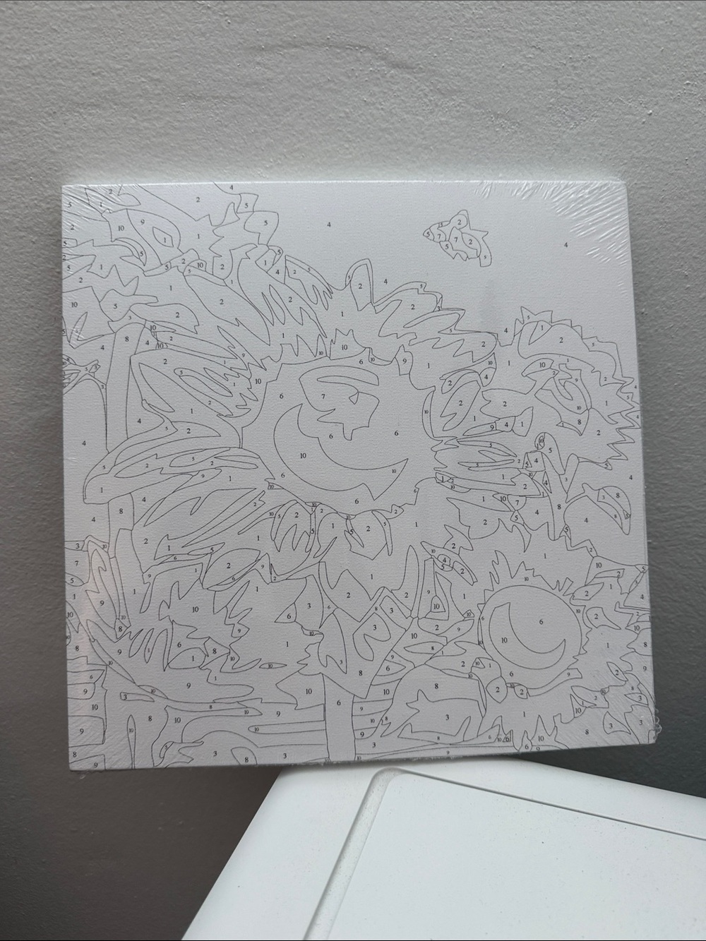 Blank Paint-by-Number Canvas with Sunflower Design - White